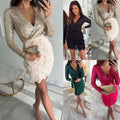 Party Sequins Multicolor Dress